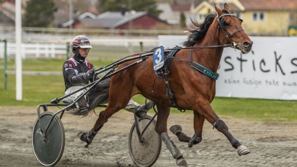 Fire x Dalen på Leangen