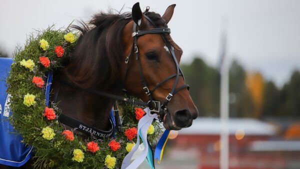Ga penger til kaldblodskjøp