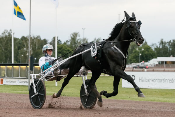 Blir ridehest på fulltid