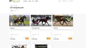 Hammeren faller kl 19.00
