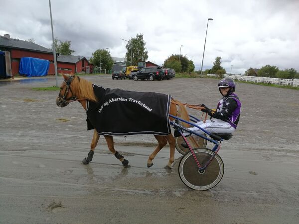 Storhesteier følger ponnitravet