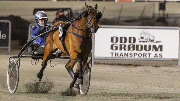 Hamre-traver mot 1.08-debutant