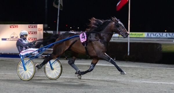 Vainqueur R.P. rører på seg