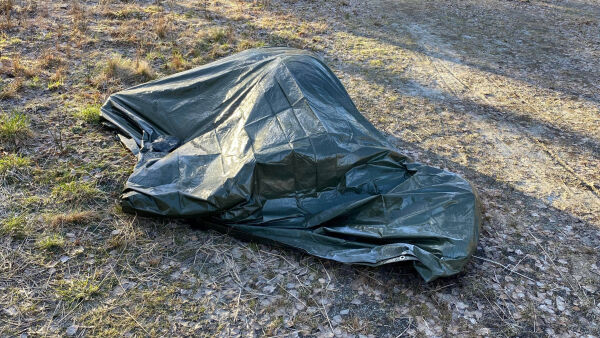 Fant død hest i boligfelt