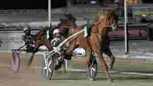 - Ingenting er offentlig