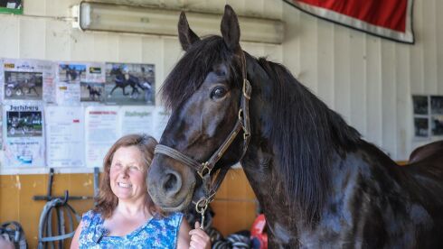 Stumne Fyr til Solvalla