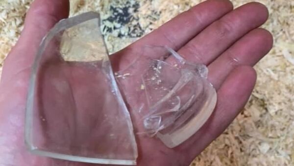 Fant glassbiter i flisball
