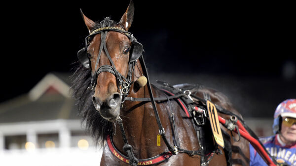 Kostet 2,7 mill - legger opp