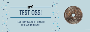 Dette møtte de aktive