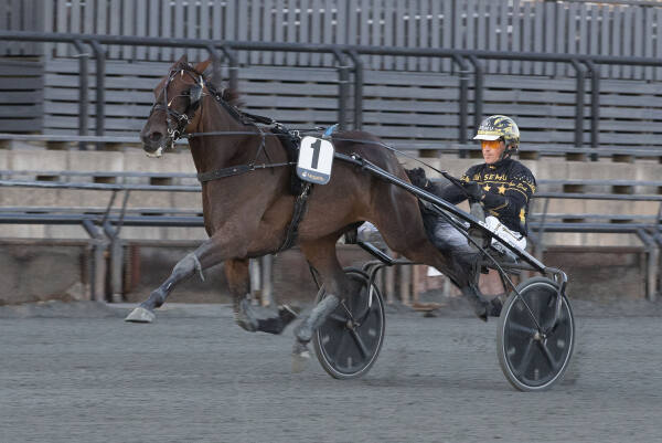 Solgt for 110.000 kroner