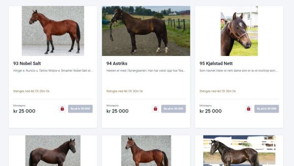 Budgivingen er åpnet