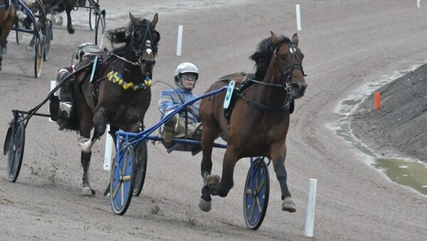 Djuve flyttet hest fra Hamre