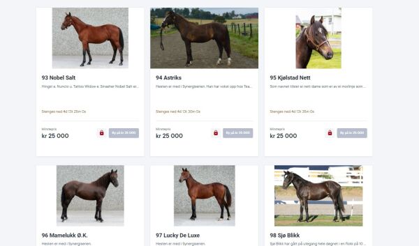 Solide tilskudd ved kjøp