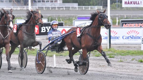 Endelig for auksjonsdyringen