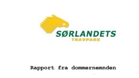 Kostbar sjenering for amatøren
