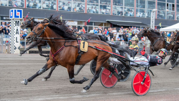 – Håper han kan hevde seg her også
