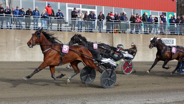 - Veldig glad for å ha en slik hest