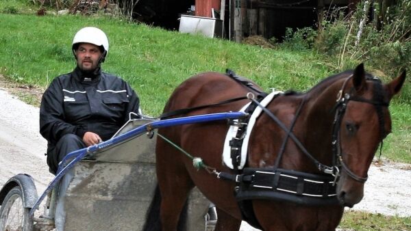 - De driver oss ut av landet