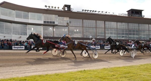 Tre anmeldelser etter travfest