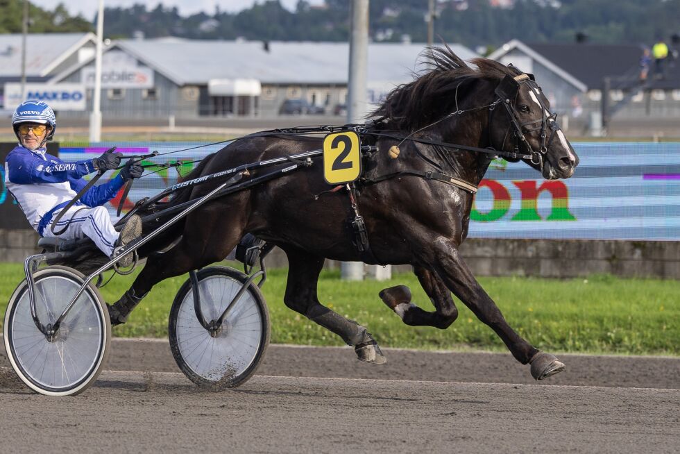 Gode Hassel Oliver er solgt.
 Foto: Hesteguiden.com.