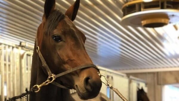 Flytter fra Kim Pedersen