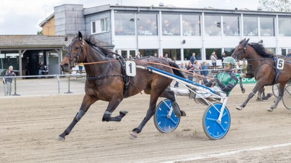 Kjøpte årgangshester tilbake