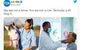 - Du er ikke en hest