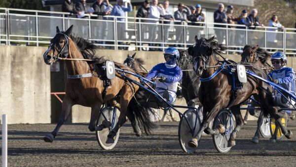 Taklingen kostet for Hop