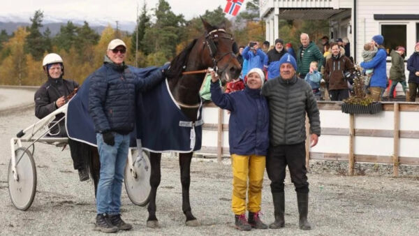 Populær hestefest