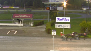 Reagerer  på snik-reklame