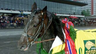 Prix d'Amerique vinner død