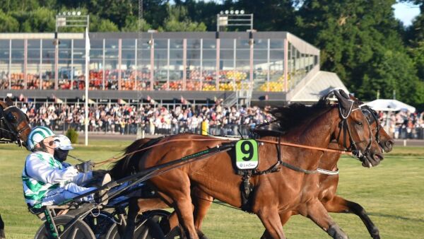 Mistet 15.308 på fem år