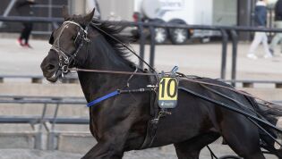 Färjestad: Helnorsk trippel