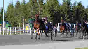 - Blanke ark igjen