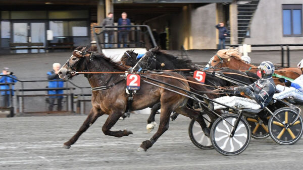 Trygg styring fra Vidar holdt helt inn