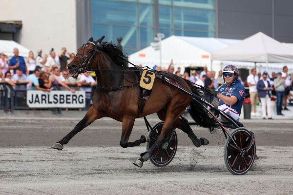 Knallgod i årsdebuten