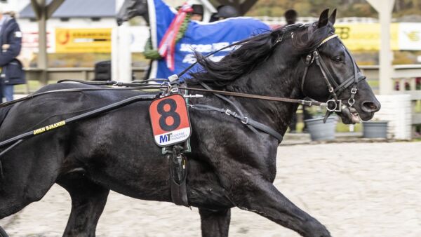 Banket eliten på slutten