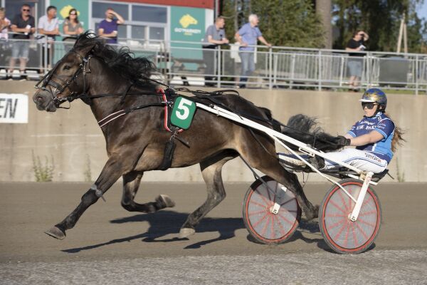 Endelig for Bjørn, norsk i Rovaniemi og river tribune