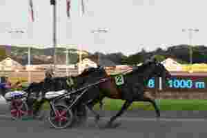 Jarlsberg Grand Prix til Cicero T.G.