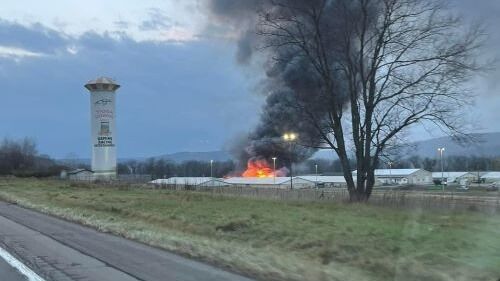 Minst 12 hester brant inne