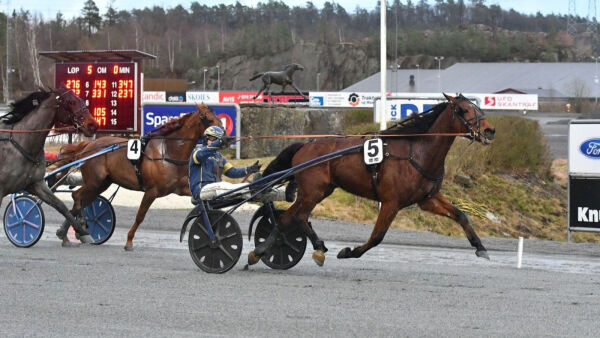 Ute med hovbensbrudd