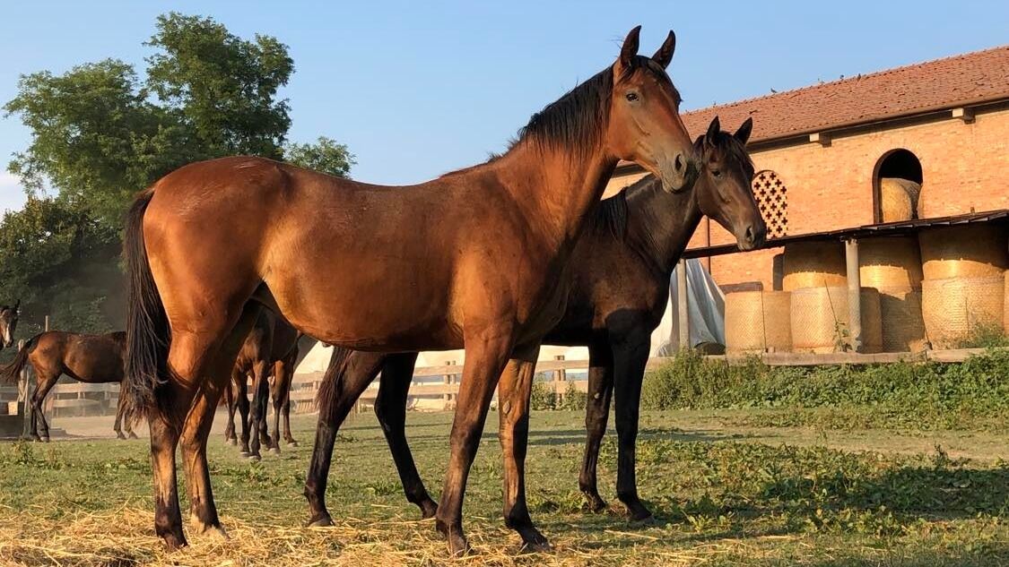 Supermare: – Così orgoglioso di lei