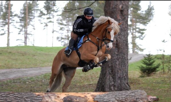 Satser på allsidighetscup