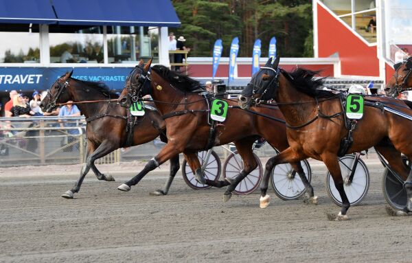 Norskeid svenske med styrkeseier