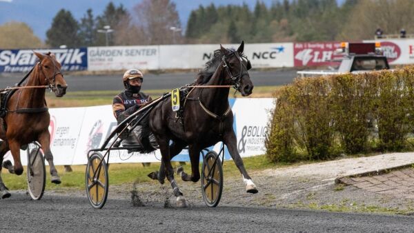 Slapp inn hos Gundersen