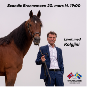Ludde til Momarken