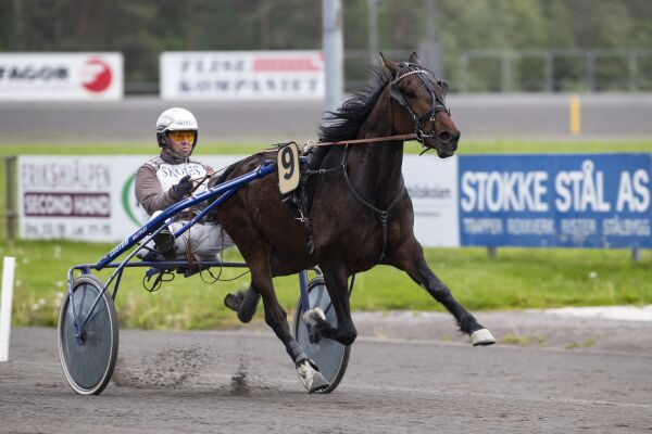 - Jeg skylder hestene alt