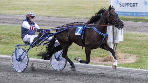 Norsk til lunch og kvelds