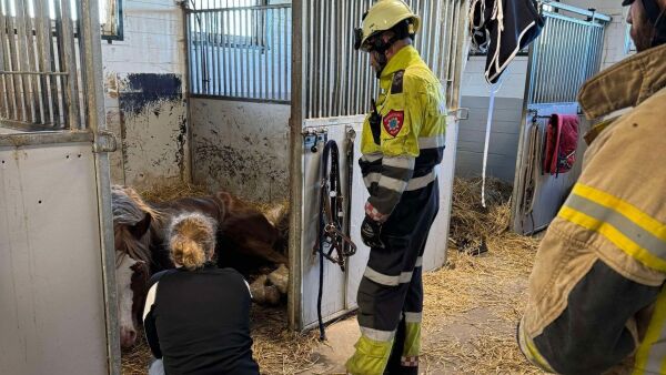 I fem timer jobbet brannvesenet for å redde vinnerhesten