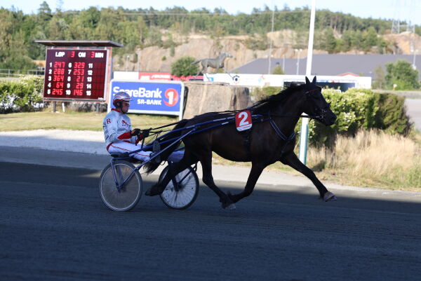 Sørlandsk trippel